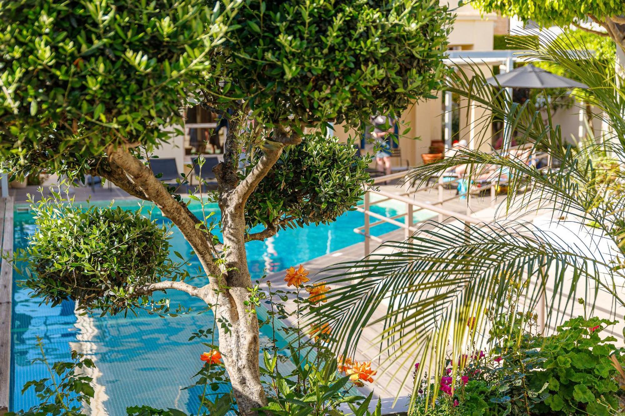 Creta Elena Apart otel Hanya Dış mekan fotoğraf